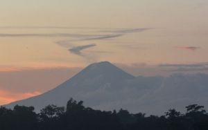 Semeru Erupsi Semburkan Awan Panas, 550 Warga Diungsikan