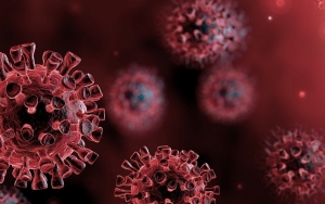 RI Masih Ribut Data Meski 9 Bulan Lebih Pandemi, Epidemiolog: Kemarin-Kemarin Ngapain Aja