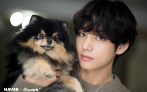 Yeontan Anjing V BTS Dimanfaatkan untuk Pansos Picu Kemarahan Netizen