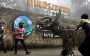 Viral Video Dinosaurus Ngamuk di Magetan, Ini Faktanya