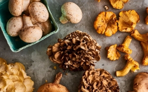 Memilih Hingga Menyimpan, Ini 7 Tips Memasak Jamur Agar Tetap Bergizi Dan Nikmat!