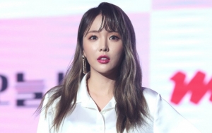 Hong Jin Young Ketahuan Plagiarisme Tesis, Ini Hukuman Akhir yang Bakal Diterima