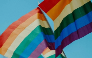  Isu Artis LGBT