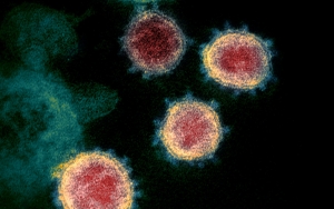 Tetap Waspada! Eijkman Ungkap Virus Corona Akan Terus Bermutasi, Ini Penjelasannya