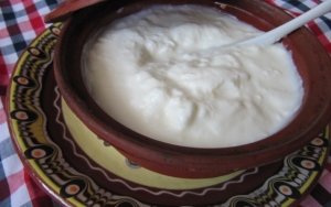 Yogurt Tawar