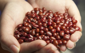 Harga Kedelai Impor Meroket, Siswa SMA Ini Produksi Tempe Berbahan Kacang Merah