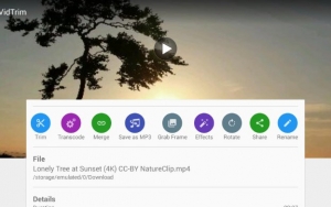 VidTrim