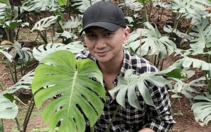 Ngaku Rindu Manggung, Anji Curhat Begini Hingga Banjir Dukungan Dari Fans