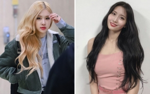 Ada Rose dan Momo, 6 Selebriti Ini Beri Contoh untuk Adopsi Anjing daripada Beli