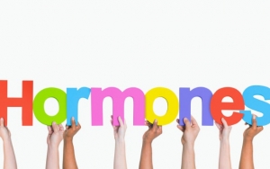 Perubahan Hormonal