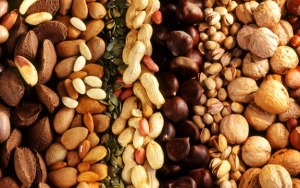 Kacang-kacangan