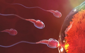 Virus Corona Bisa Buat Mandul dan Sperma Rusak, Ini Bukti dan Penyebabnya