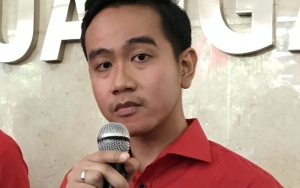 Walkot Solo Terpilih Gibran Rakabuming Tak Jadi Dilantik Besok, Ini Alasannya