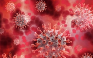 WHO Duga Virus Corona Sudah Infeksi Ribuan Warga Wuhan Desember 2019, Tiongkok Kebobolan?