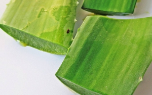 Kaya Vitamin E, Ini 8 Rekomendasi Produk Skincare Aloe Vera yang Bagus untuk Kulit
