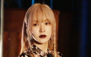 Wendy Red Velvet Sambat Kamarnya di Asrama Terlalu Kecil