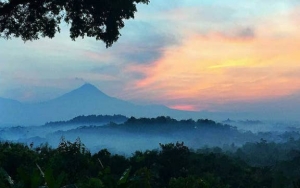 Serunya Rumah Pohon di Bukit Barede