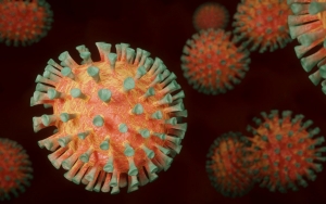 Ternyata Ini Kaitan Suhu dan Penularan Virus Corona, Musim Panas Benar Lebih Aman?