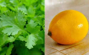 Daun Ketumbar dan Lemon yang Kaya Antioksidan