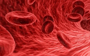 Mengancam Sistem Peredaran Darah