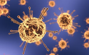 Corona B117 Makin Menyebar ke 5 Provinsi, Begini Kondisi Terkini Para Pasien