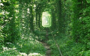 Momen Sempurna di Tunnel of Love, Ukraina