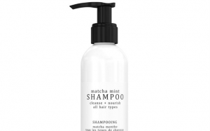 Graydon Matcha Mint Shampoo