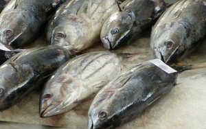 Ikan dan Makanan yang Kaya DHA