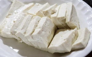 Protein Rendah Lemak