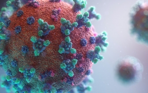 14 Negara Suarakan Kekhawatiran Soal Laporan Asal-Usul Virus Corona Dari WHO