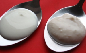 Yoghurt Kedelai