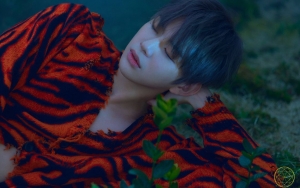 Kang Daniel Manjakan Fans Lewat Teaser Lirik Dan Konsep Bergerak Untuk Lagu Comeback 'Antidote'