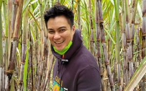 600 Juta Terbuang, Baim Wong Murka Pecat Paksa Mandor dan Tukang di Rumah Baru