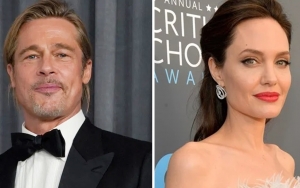 Brad Pitt Dapat Hak Asuh Anak, Angelina Jolie Tak Terima Dan Kecam Keputusan Hakim