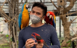 Rizki DA Protes Usai Foto Lama dengan Lesty Kejora Dipajang di Akun Indosiar