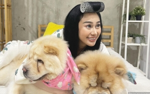 Akun Instagram Dewi Persik Hilang, Denise Chariesta Berterima Kasih Pada Fans