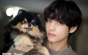 V BTS Ingin Carikan Teman untuk Yeontan Anjingnya, Akui Dilema Gara-Gara Ini