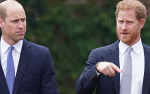 Pangeran William dan Harry Terlibat Obrolan Pribadi Dan Rahasia Usai Meresmikan Patung Putri Diana
