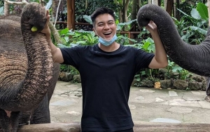Baim Wong Ogah Pamer Sapi Kurban, Akui Dilema sebagai Pembuat Konten