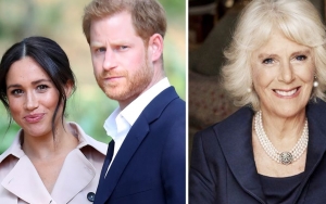 Kepindahan Harry dan Meghan Markle ke Amerika Disebut Menyakiti Hati Camilla, Kenapa?