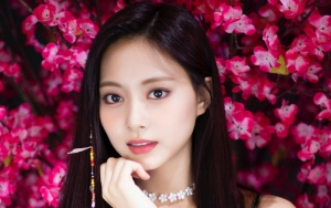 Pemerintah Minta Fanbase Tzuyu TWICE di Tiongkok Ubah Nama, Kenapa?