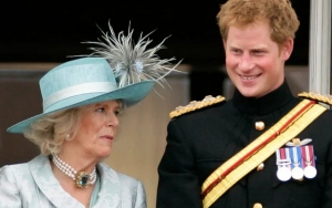 Memoar Harry Disebut Bakal Incar Camilla, Buktikan Putri Diana Dikhianati Pangeran Charles?