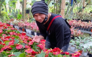 Pengakuan Anji Beli Ganja dari Instagram, Kenal Sang Penjual?
