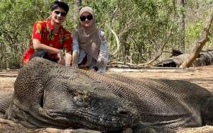 Video Alvin Faiz dan Henny Rahman Bareng Komodo 'Raksasa' Bikin Deg-Degan, Aksi Uwu Romantis Terkuak