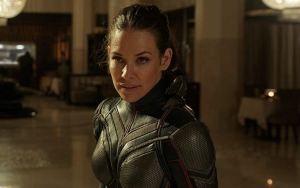 Evangeline Lilly Ungkap Kedudukan 'Ant-Man and the Wasp: Quantumania' di MCU