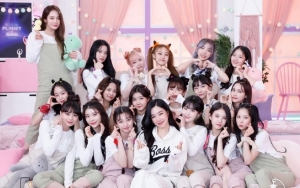 Ini Perbedaan Lineup Debut 'Girls Planet 999' Jika Voting Penggemar Korea dan Luar Negeri Disamakan