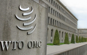 COVID-19 Naik 12 Kali Lipat Imbas Varian Omicron, WTO Pilih Tunda Konferensi Pekan Depan