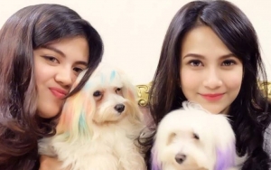 Kedok Sepupu Vanessa Angel Dimusuhi di 2013 Terkuak, Video Berhijab Puji Bibi Janggal?