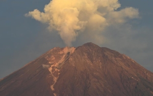 Curhat Warga Alami Erupsi Semeru: Ada Api Hingga Hujan Batu, Tak Berani Lihat Rumah yang Hancur