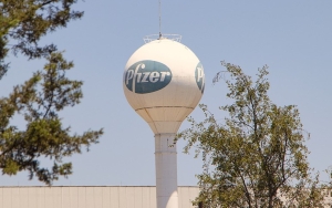 COVID-19 Omicron, CEO Pfizer Sebut Vaksinasi Dosis Keempat Harus Diberikan Lebih Awal